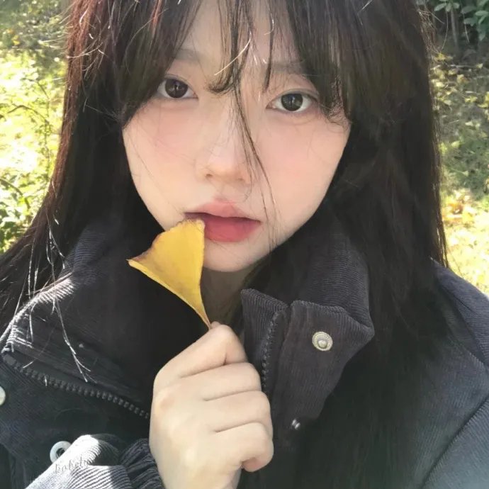 创造物